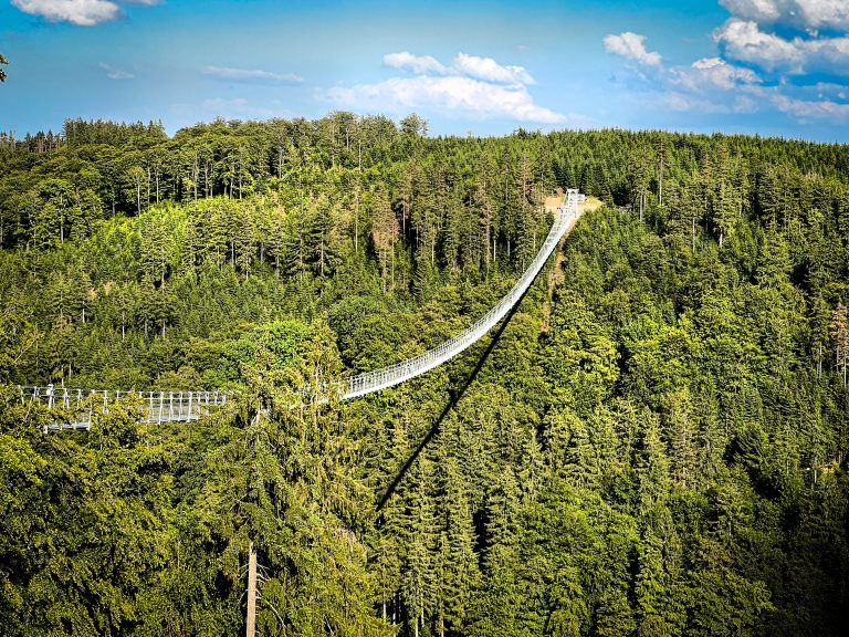 Deutschlands längste Hängebrücke, der Skywalk in Willingen, gelegen im Wald