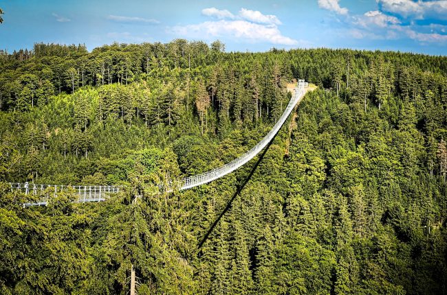 Germany's longest suspension bridge, the Skywalk in Willingen, located in the forest